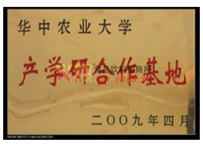 ��ѧ�к�������