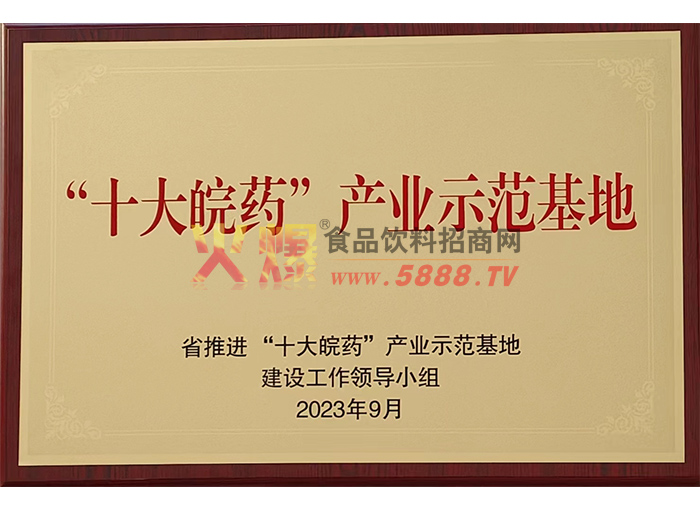 ʮ����ҩ��ҵʾ������