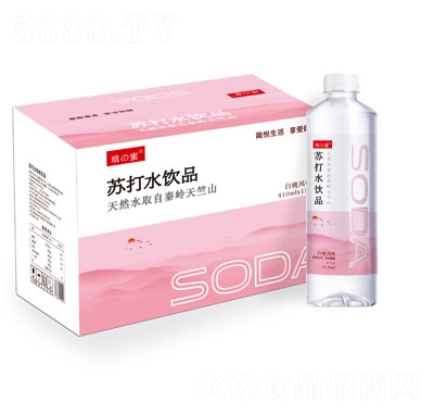 ���۰���ζ�մ�ˮ��Ʒ410������װ