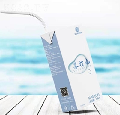 ����ҷ��Ϸ��մ�ˮ��ζ����250ml