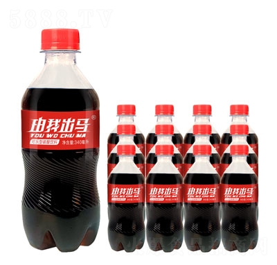 ���ҳ���������̼������340ml��ƿ��