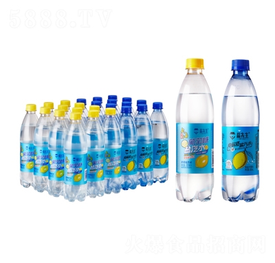 ��������������ˮ���ʶ��ζ600ml����