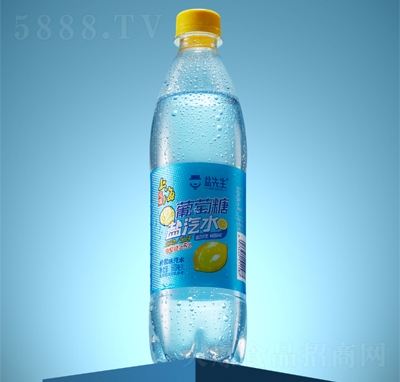 ��������������ˮ����ζ600ml����