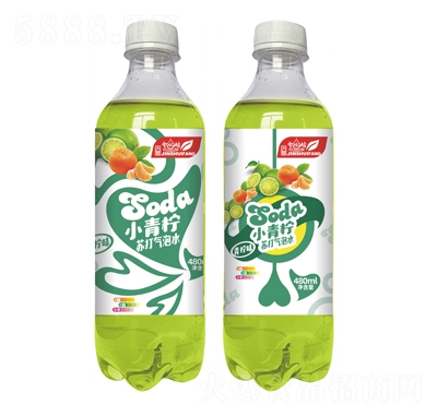��ˮ�������մ�����ˮ����ζ480ml
