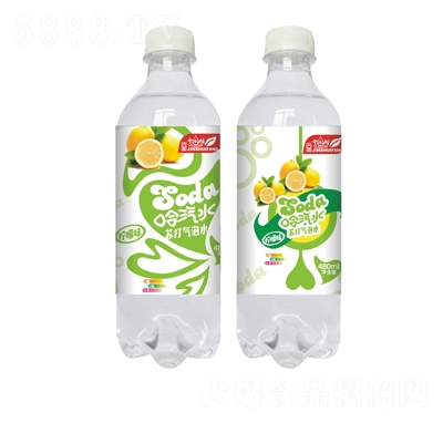 ��ˮ�������մ�����ˮ����ζ480ml