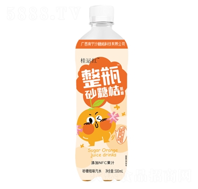 ���˺�ɳ�ǽ�ζ��ˮ500ml