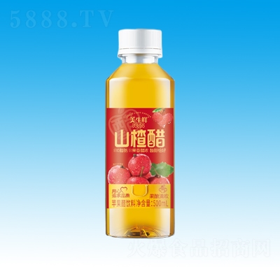 ������ɽ髴�500ml
