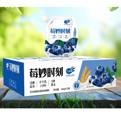 ������ݮ��ʱ�����̷�ζ������160gX12��