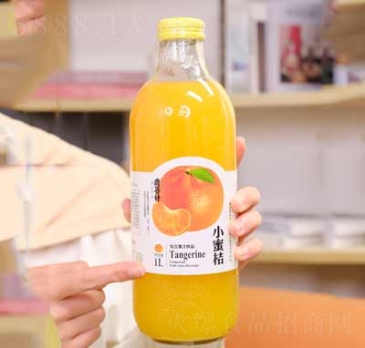 ¹��Ʋ���ƿС�۽�֭���Ϲ�֭��Ʒ����1L