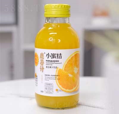 ¹��Ʋ���ƿ���Ϲ�֭��ƷС�۽�֭����300ml