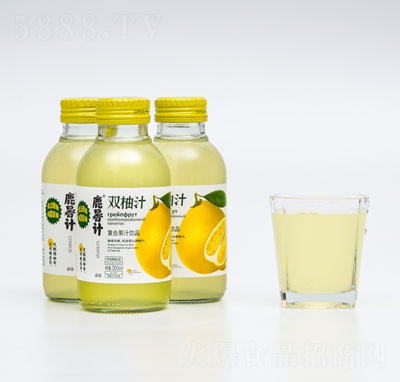 ¹���ƿװ���Ϲ�֭��Ʒ˫��֭300ml