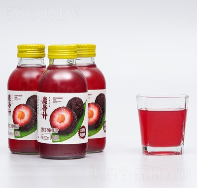¹���ƿװ���Ϲ�֭��Ʒ��÷֭300ml