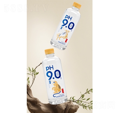 ����ʮ����Фԭζ�մ�ˮ520ml