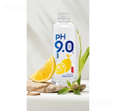 ��������ζ�մ�ˮ520ml